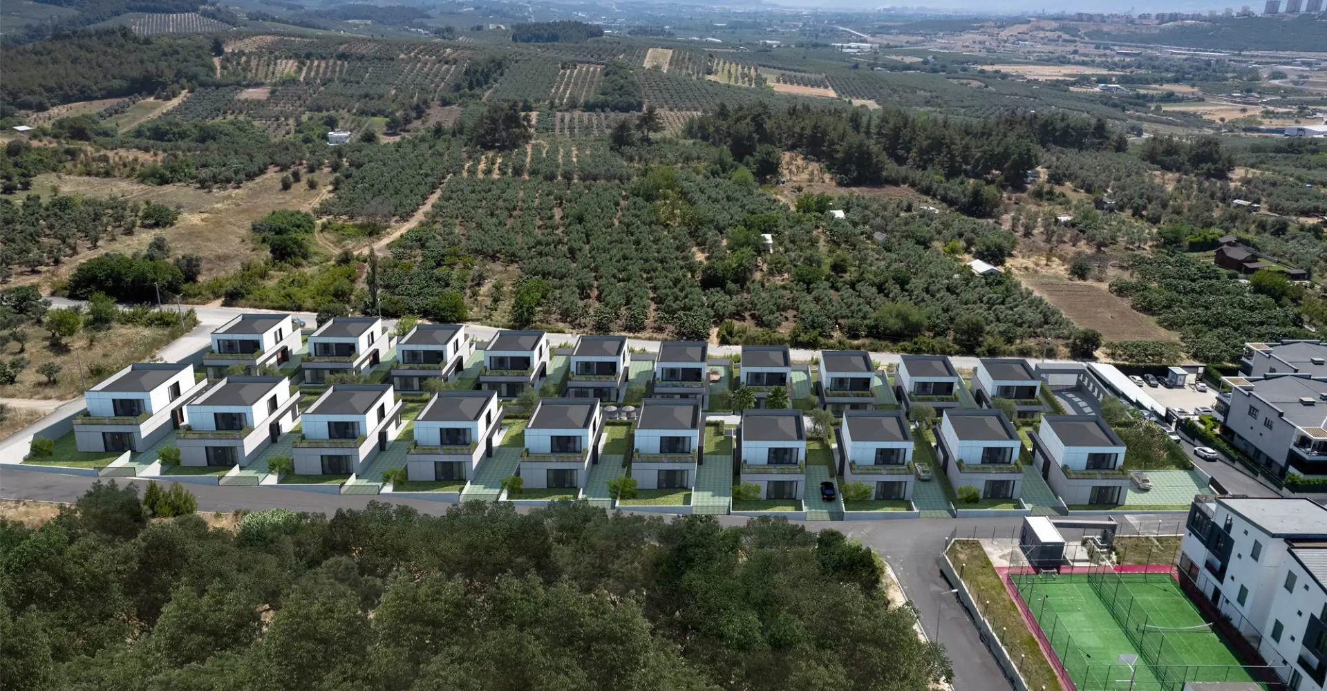Paris Avlu: a bird's-eye view of villas among olive groves